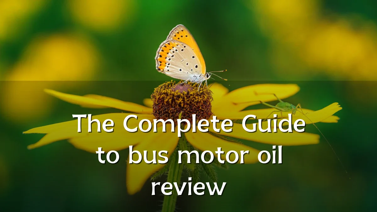 The Complete Guide to bus motor oil review