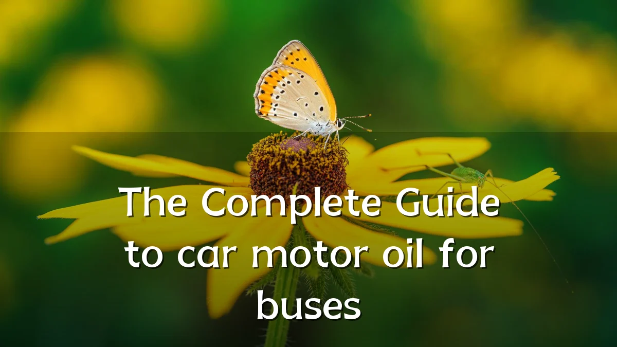 The Complete Guide to car motor oil for buses