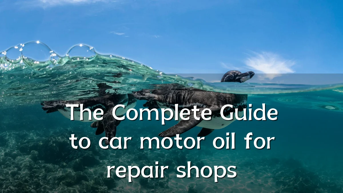 The Complete Guide to car motor oil for repair shops