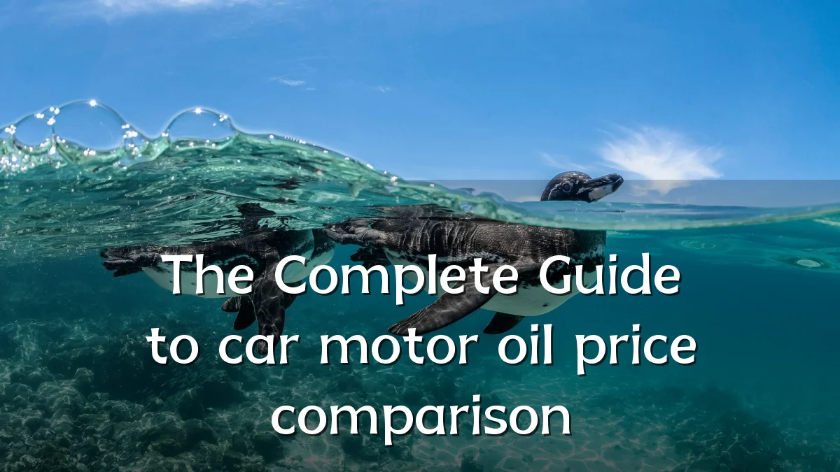 The Complete Guide to car motor oil price comparison