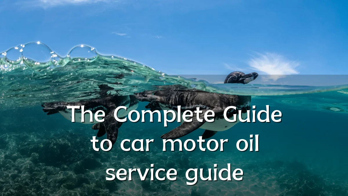The Complete Guide to car motor oil service guide