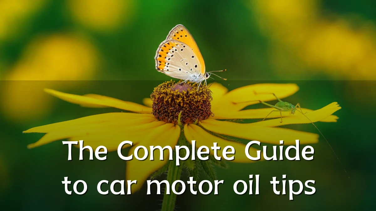 The Complete Guide to car motor oil tips