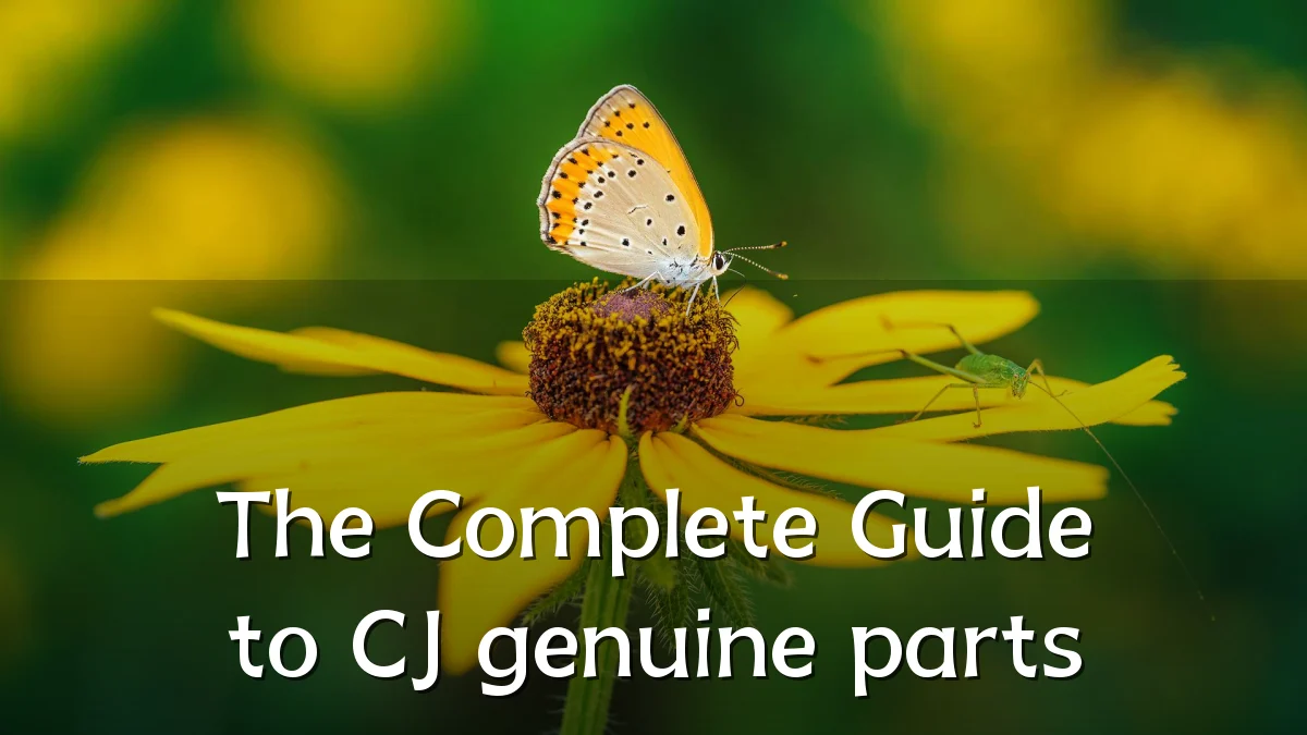 The Complete Guide to CJ genuine parts