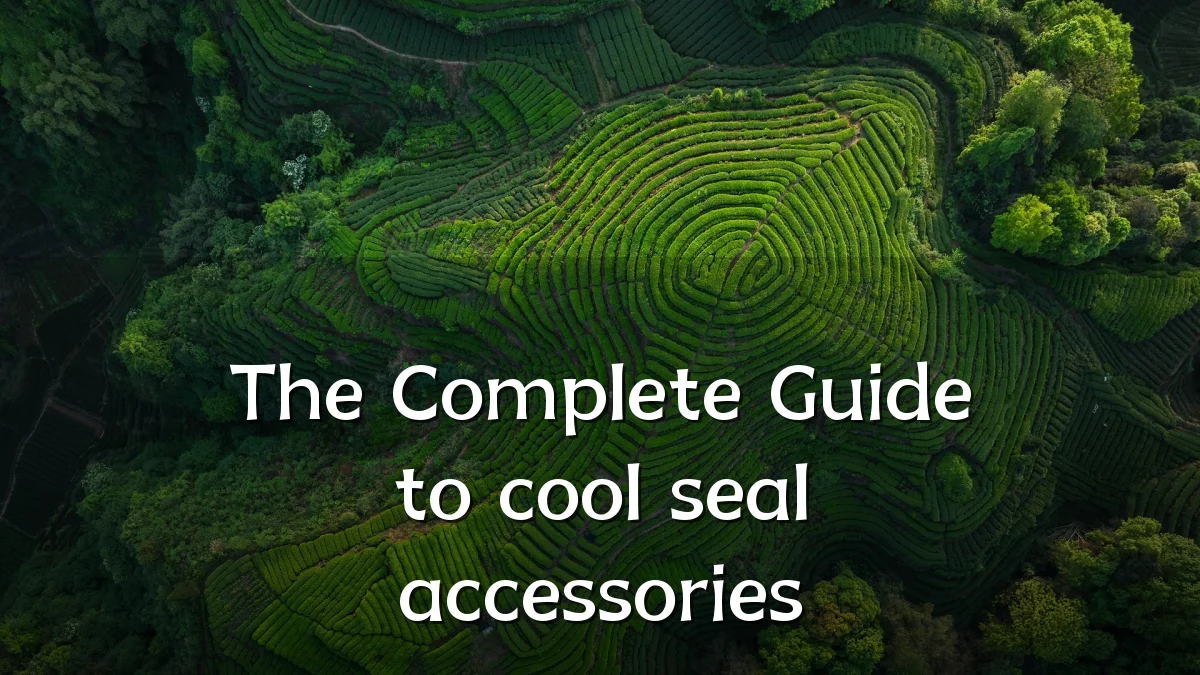 The Complete Guide to cool seal accessories