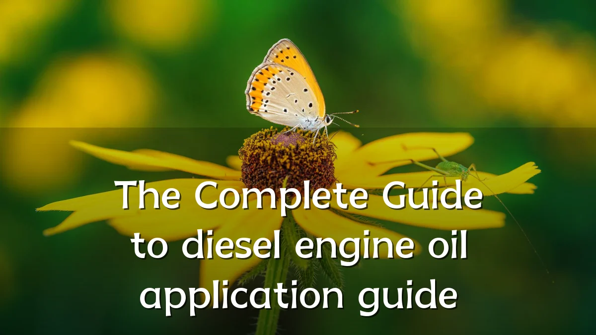 The Complete Guide to diesel engine oil application guide