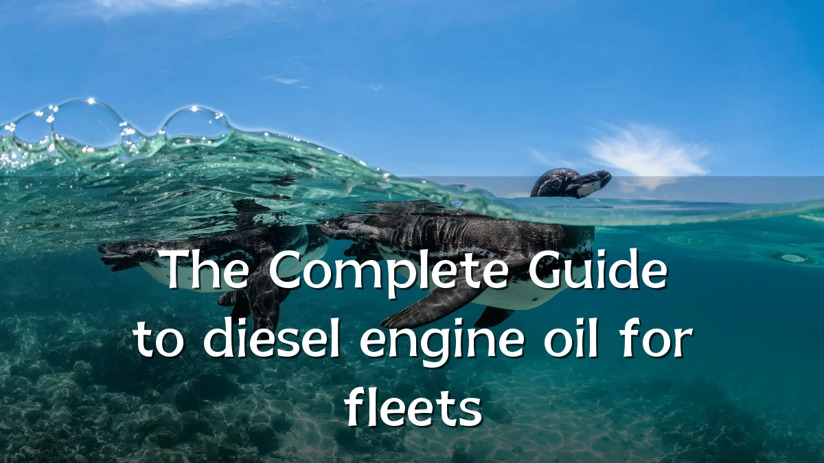 The Complete Guide to diesel engine oil for fleets