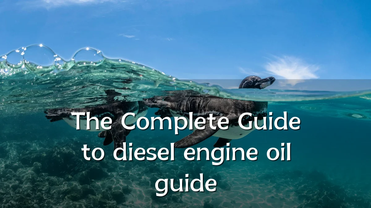The Complete Guide to diesel engine oil guide