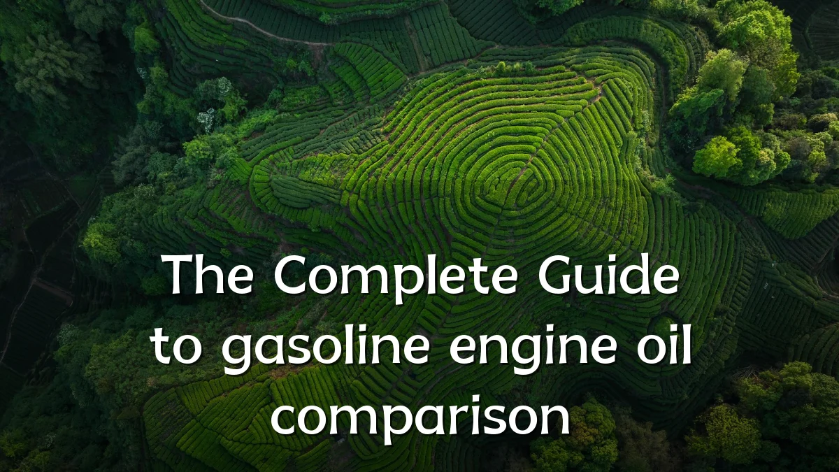 The Complete Guide to gasoline engine oil comparison
