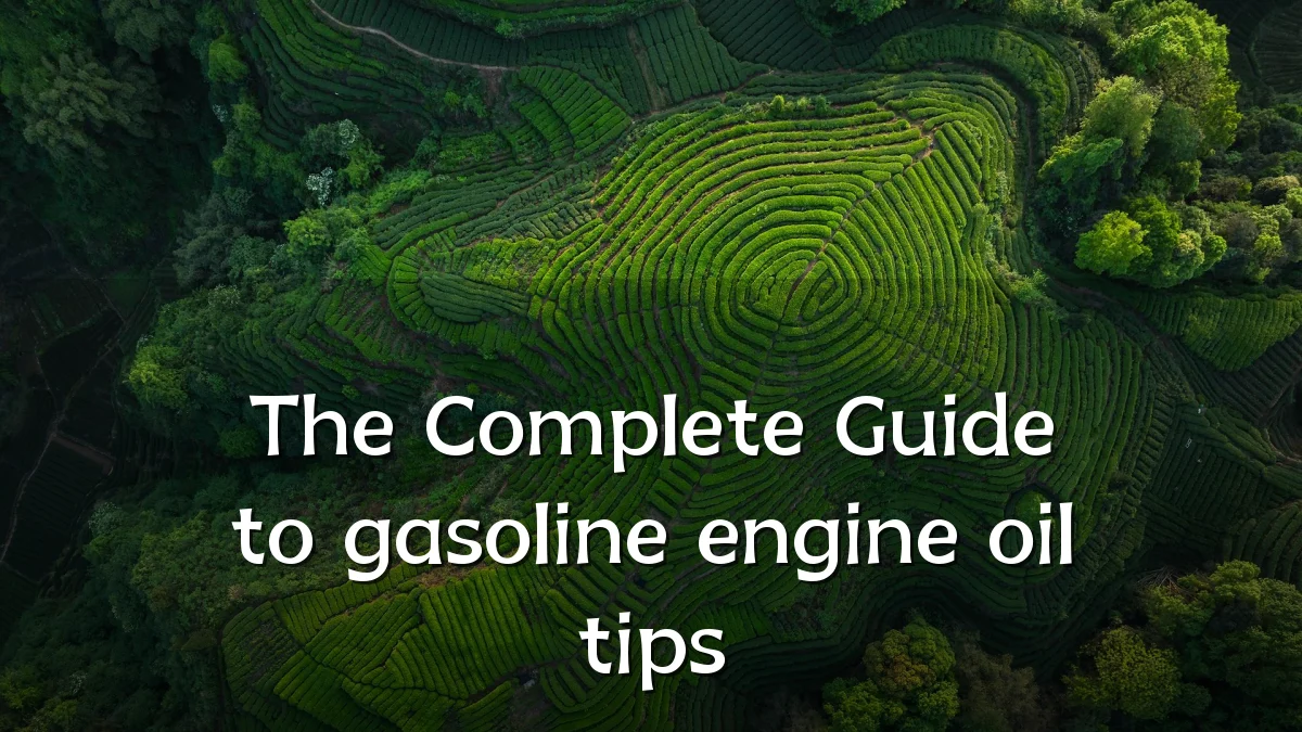 The Complete Guide to gasoline engine oil tips