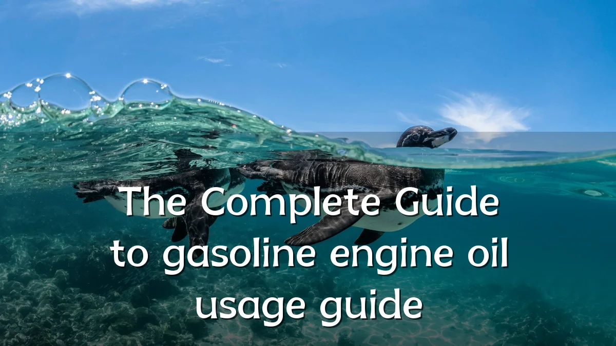 The Complete Guide to gasoline engine oil usage guide