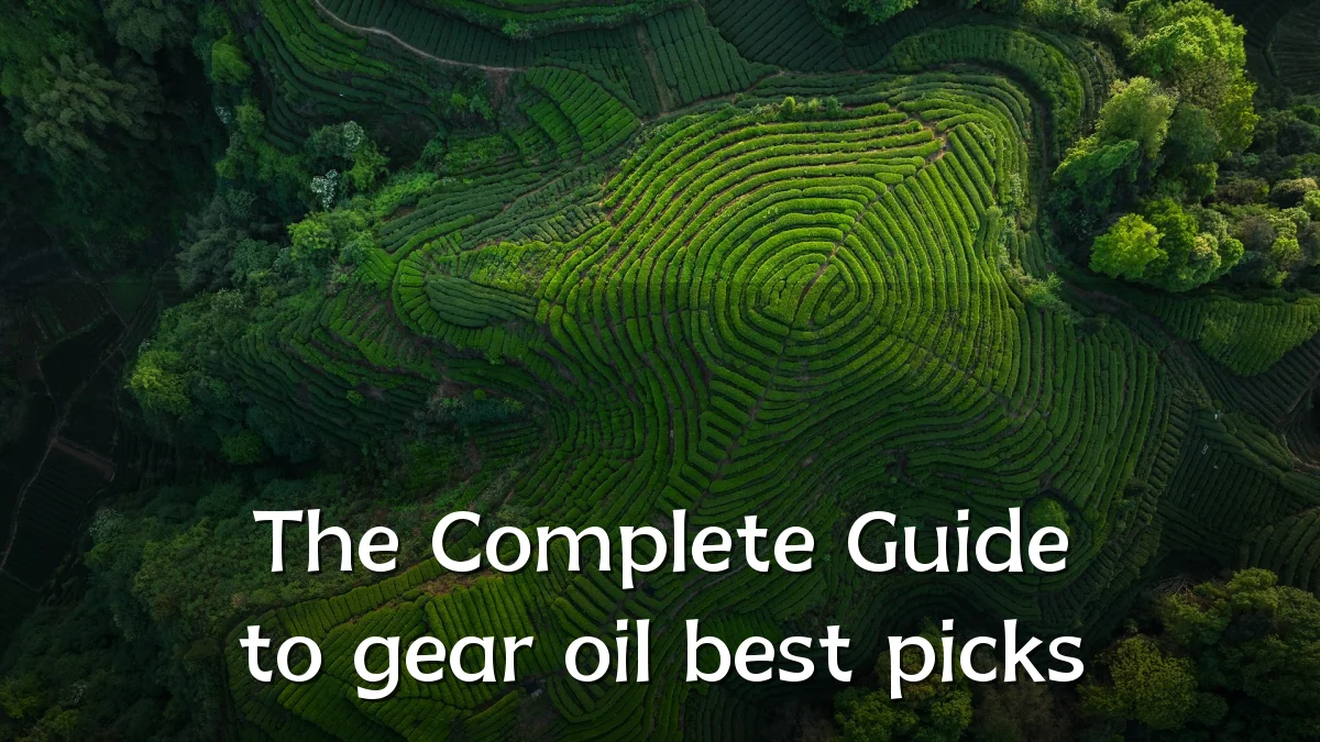 The Complete Guide to gear oil best picks