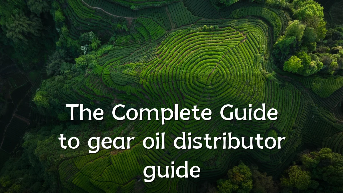The Complete Guide to gear oil distributor guide