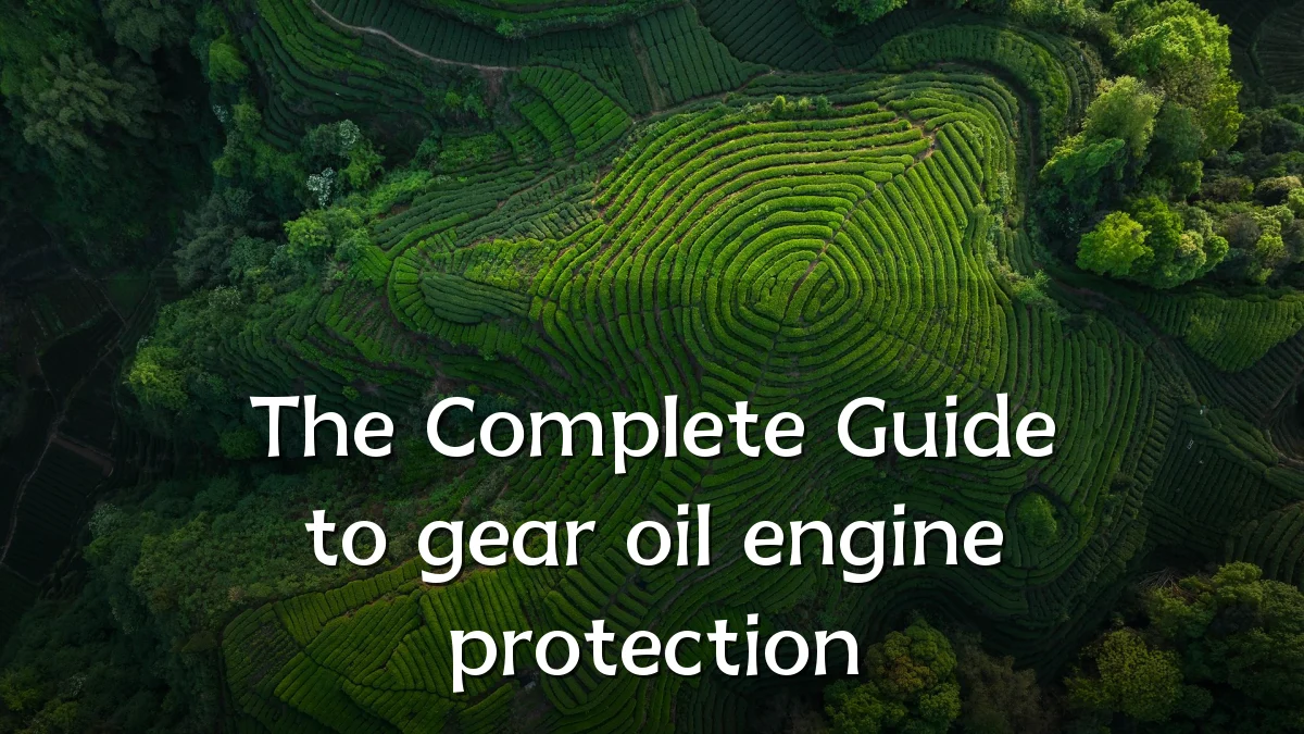 The Complete Guide to gear oil engine protection