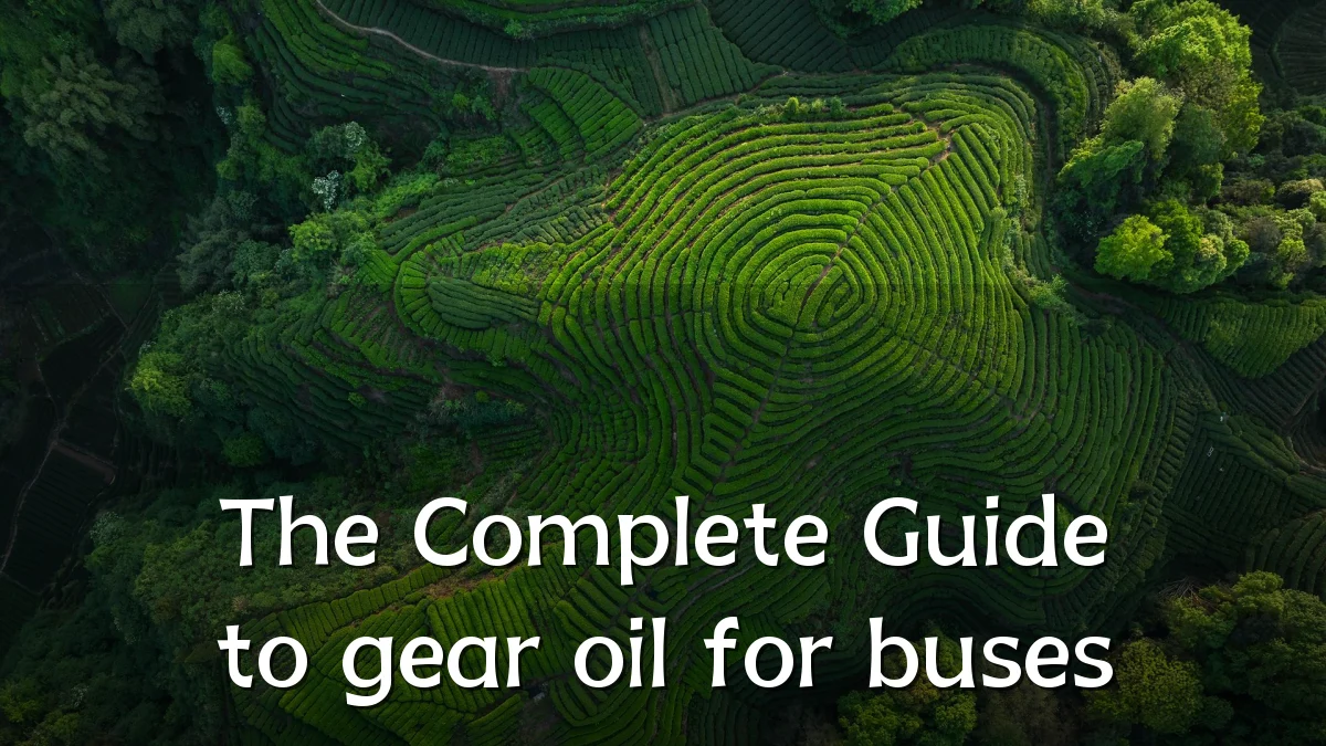 The Complete Guide to gear oil for buses