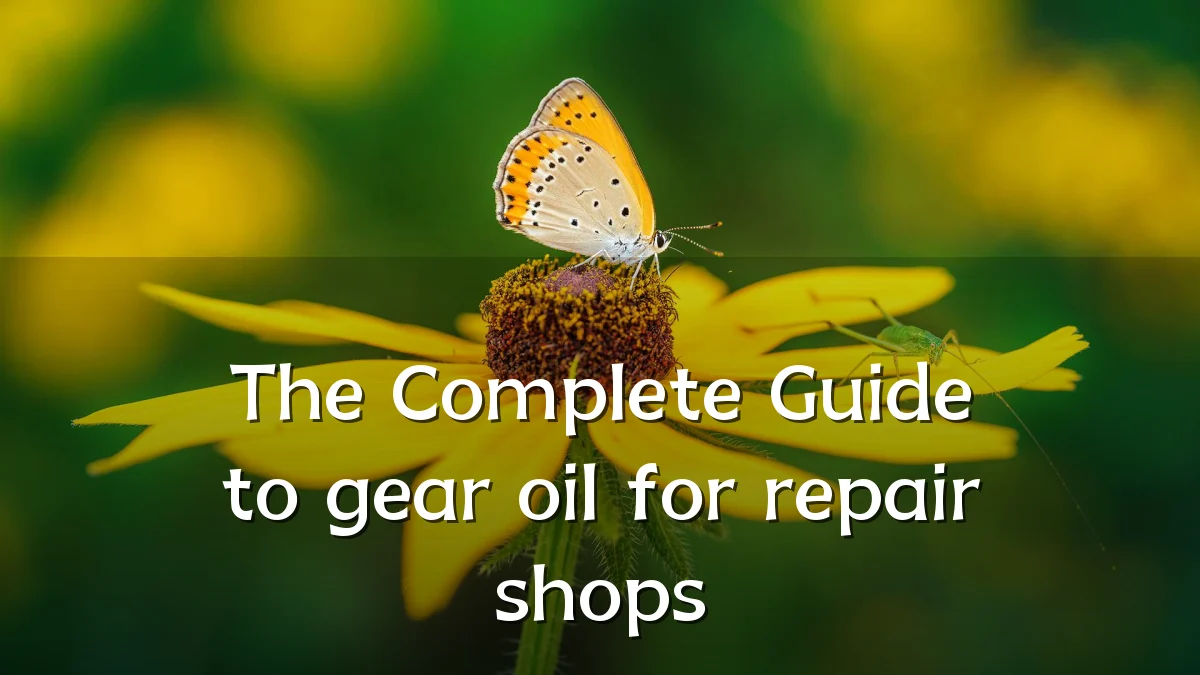 The Complete Guide to gear oil for repair shops