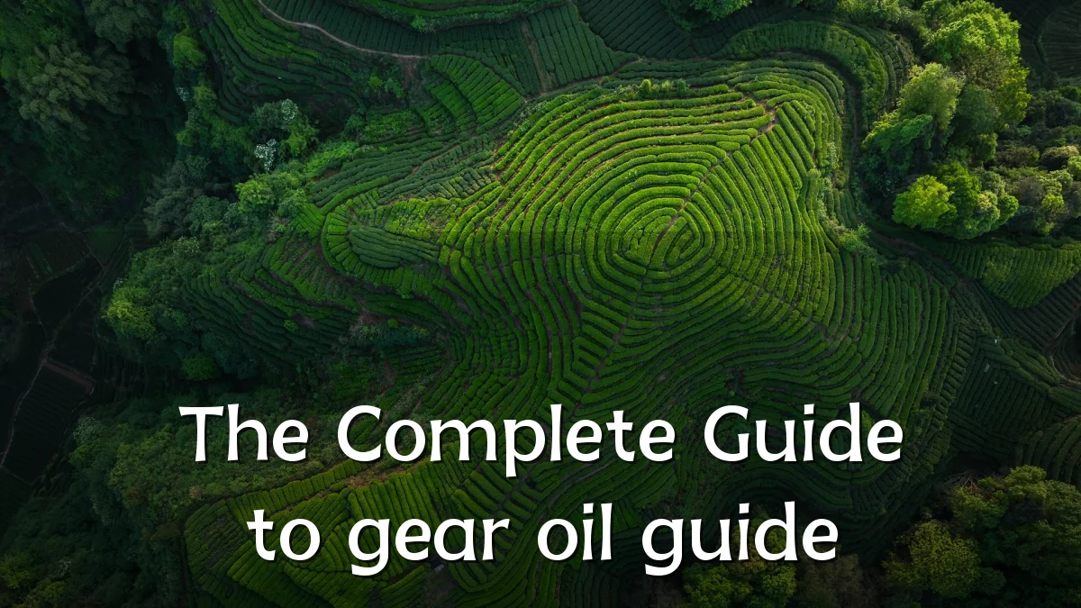 The Complete Guide to gear oil guide