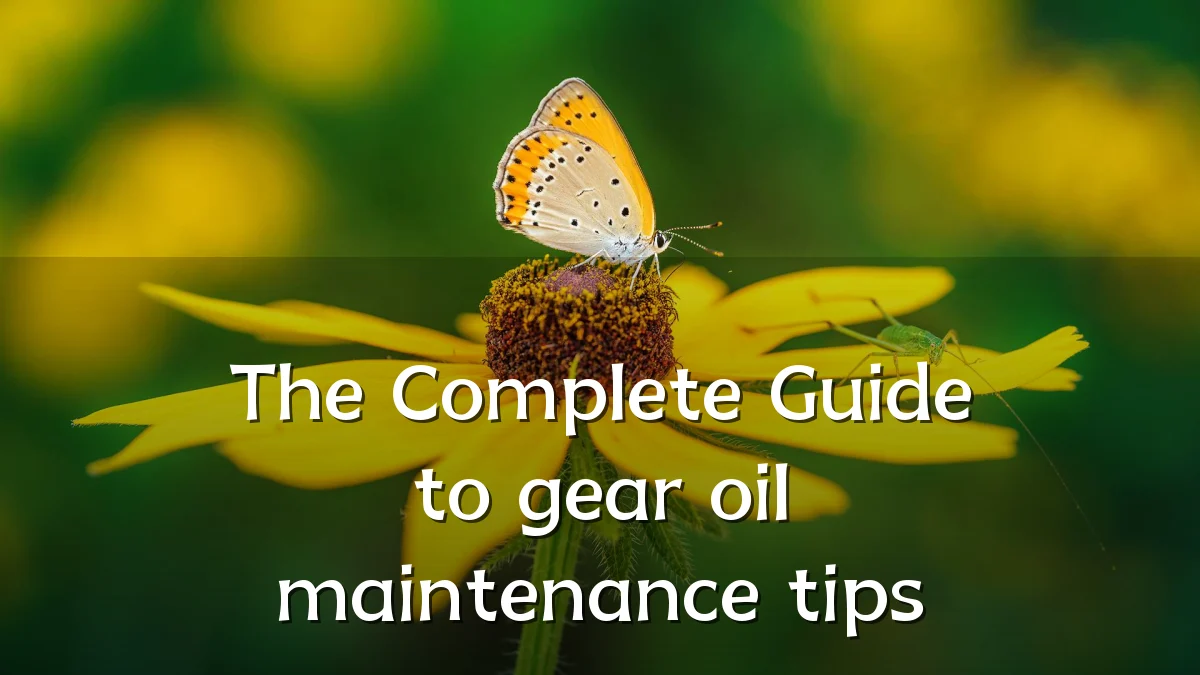 The Complete Guide to gear oil maintenance tips