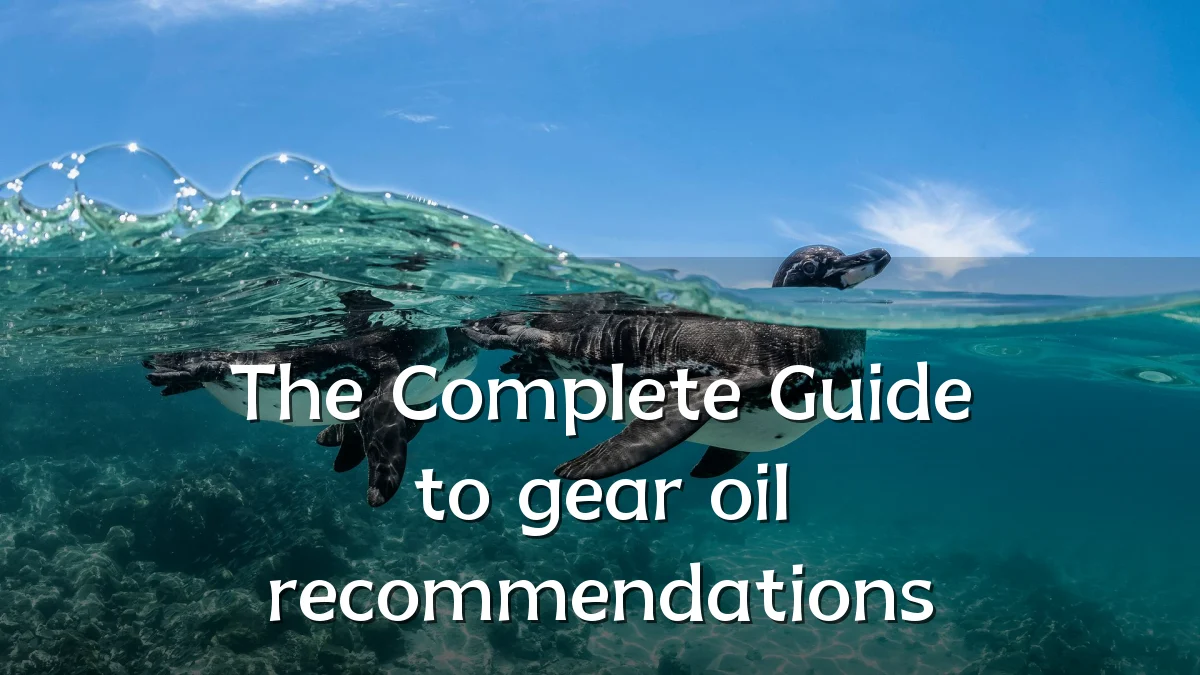 The Complete Guide to gear oil recommendations