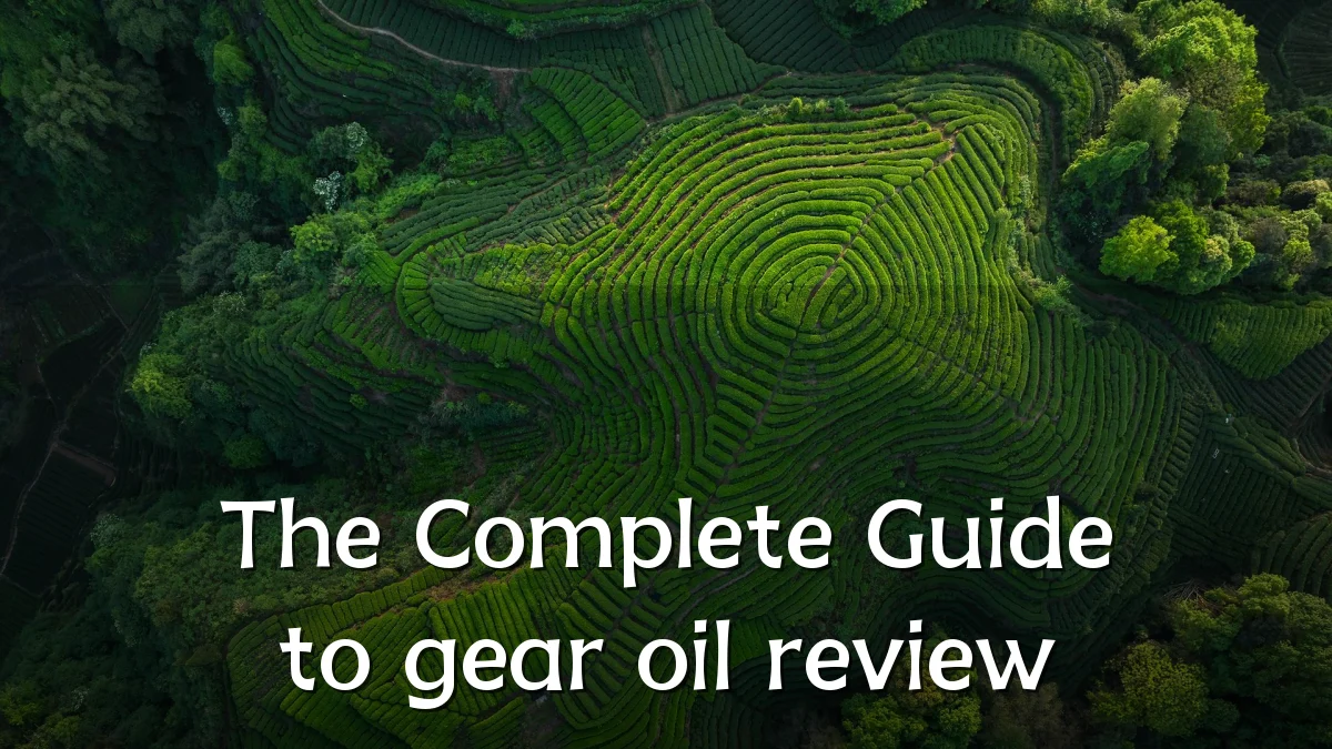 The Complete Guide to gear oil review