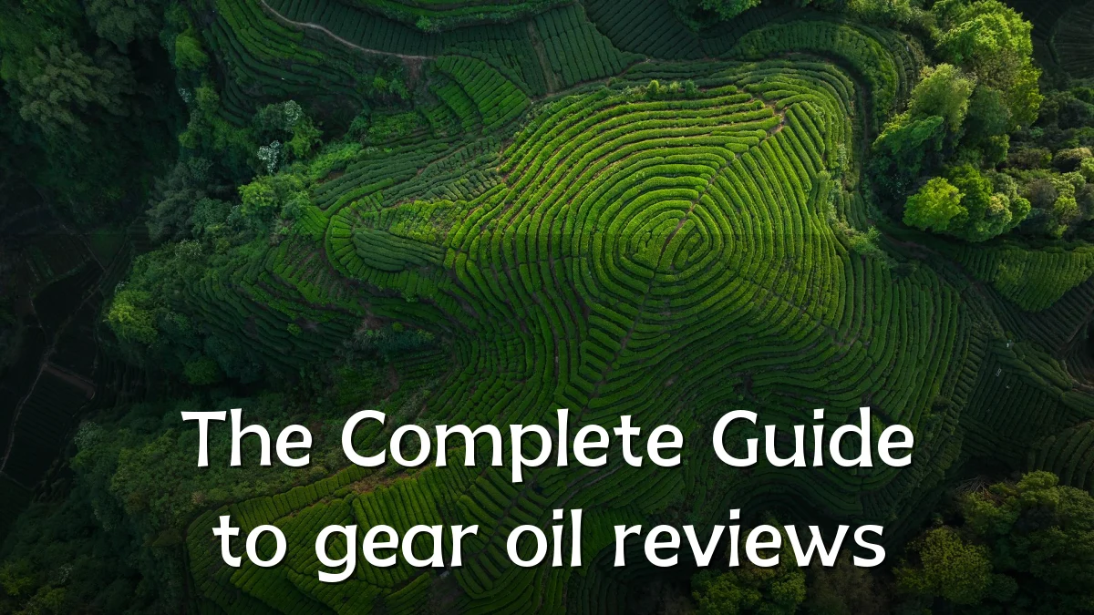 The Complete Guide to gear oil reviews
