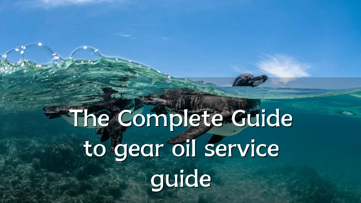 The Complete Guide to gear oil service guide