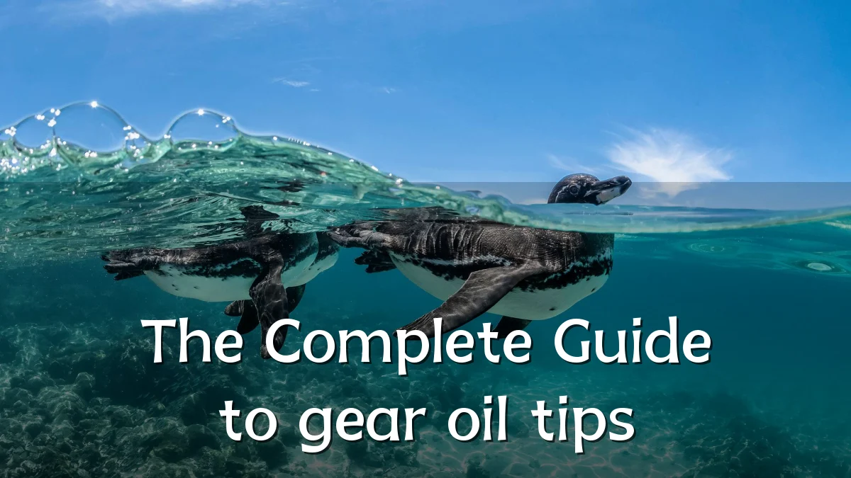 The Complete Guide to gear oil tips