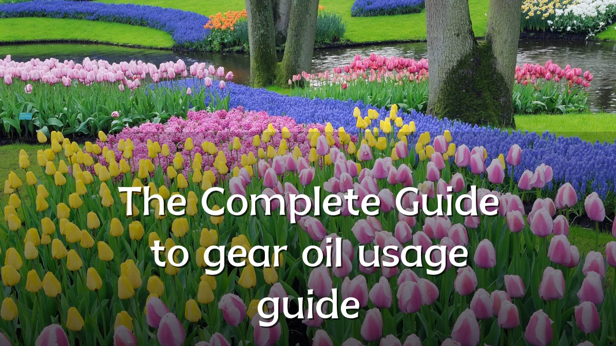 The Complete Guide to gear oil usage guide