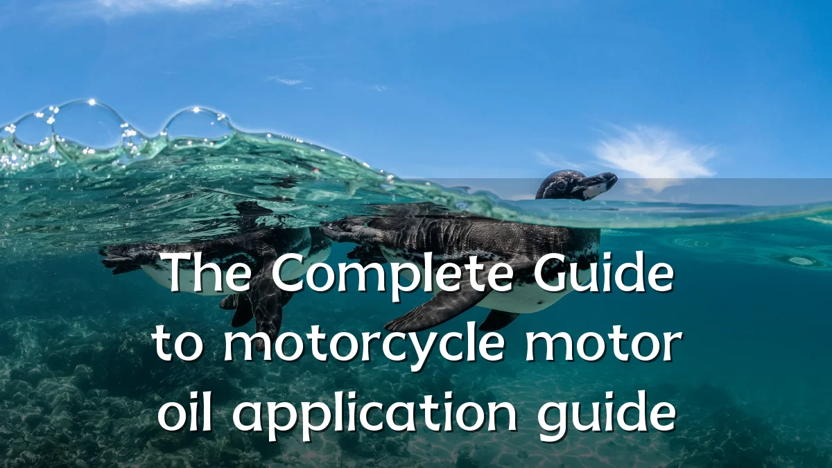The Complete Guide to motorcycle motor oil application guide