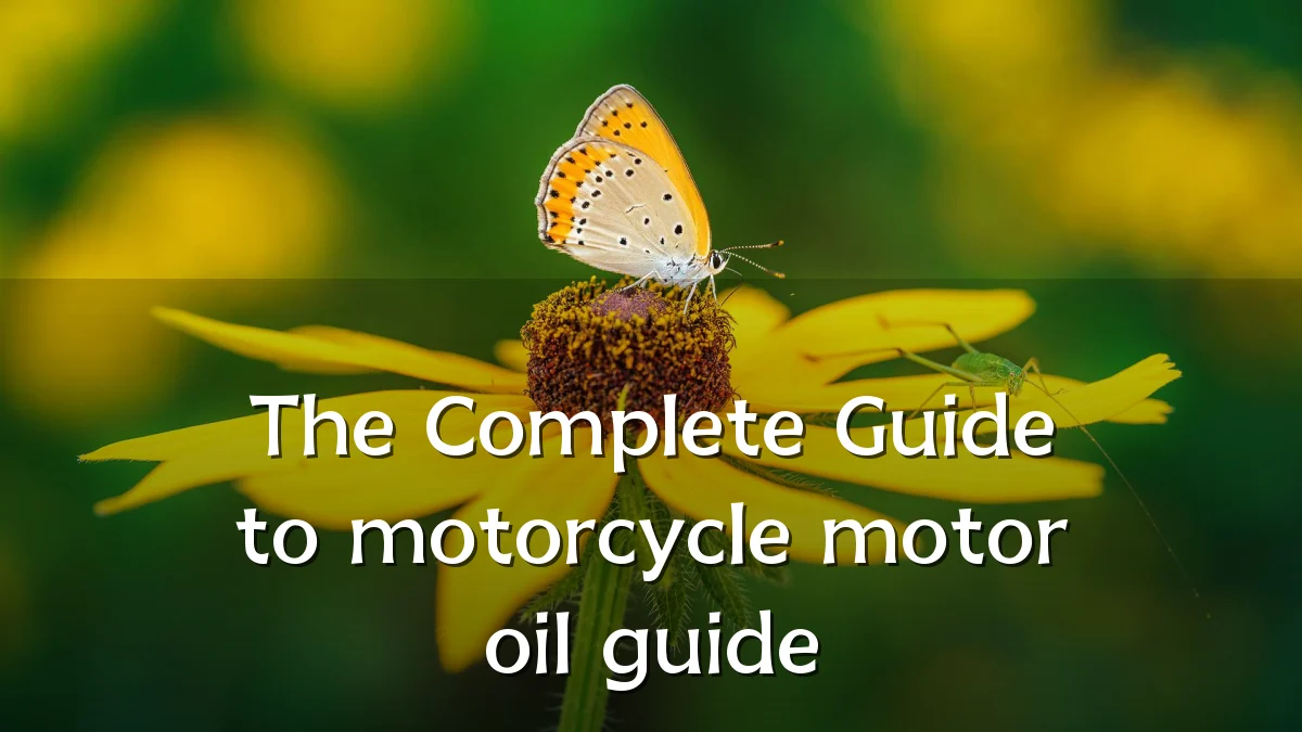 The Complete Guide to motorcycle motor oil guide