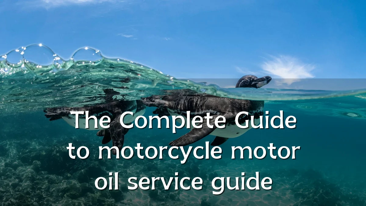 The Complete Guide to motorcycle motor oil service guide