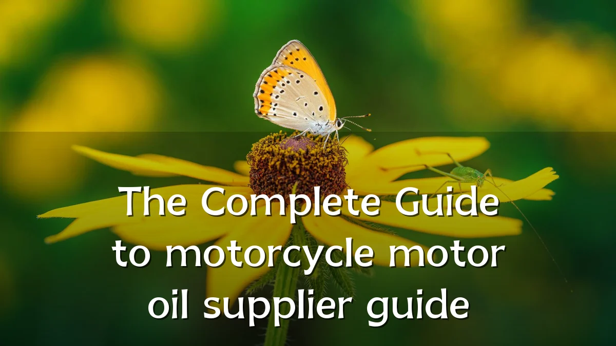 The Complete Guide to motorcycle motor oil supplier guide