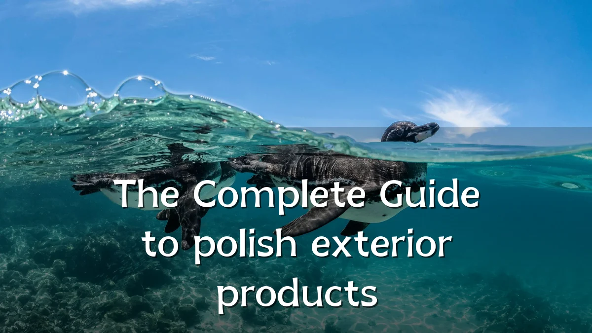 The Complete Guide to polish exterior products