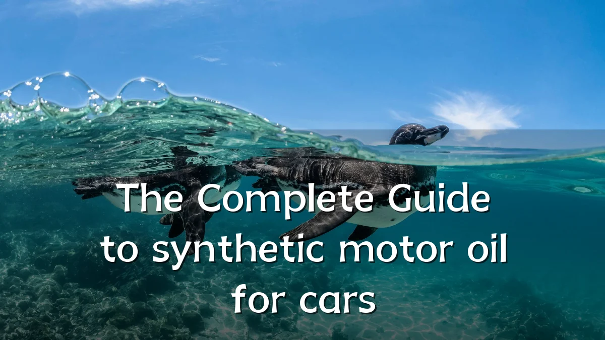 The Complete Guide to synthetic motor oil for cars