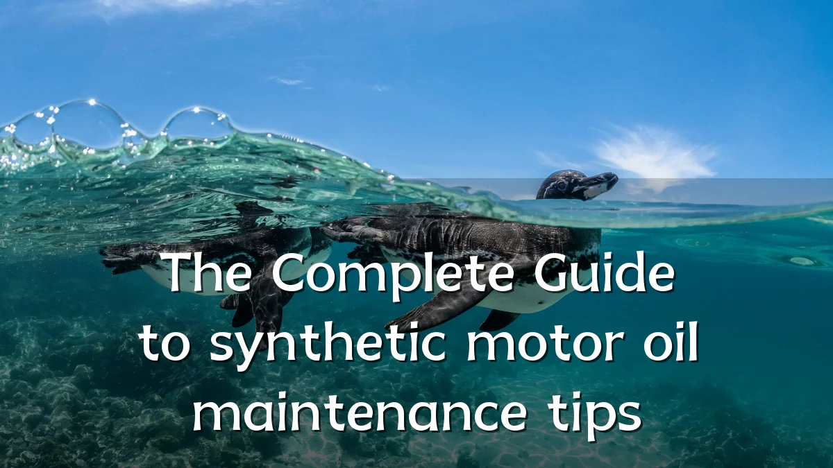The Complete Guide to synthetic motor oil maintenance tips