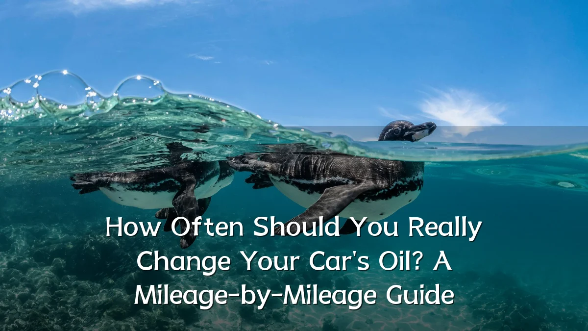 How Often Should You Really Change Your Car's Oil? A Mileage-by-Mileage Guide