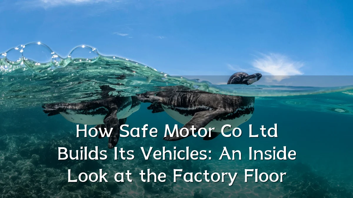 How Safe Motor Co Ltd Builds Its Vehicles: An Inside Look at the Factory Floor