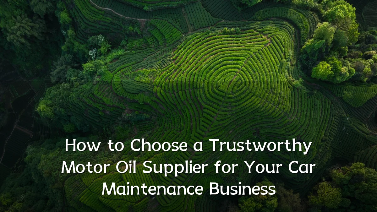 How to Choose a Trustworthy Motor Oil Supplier for Your Car Maintenance Business