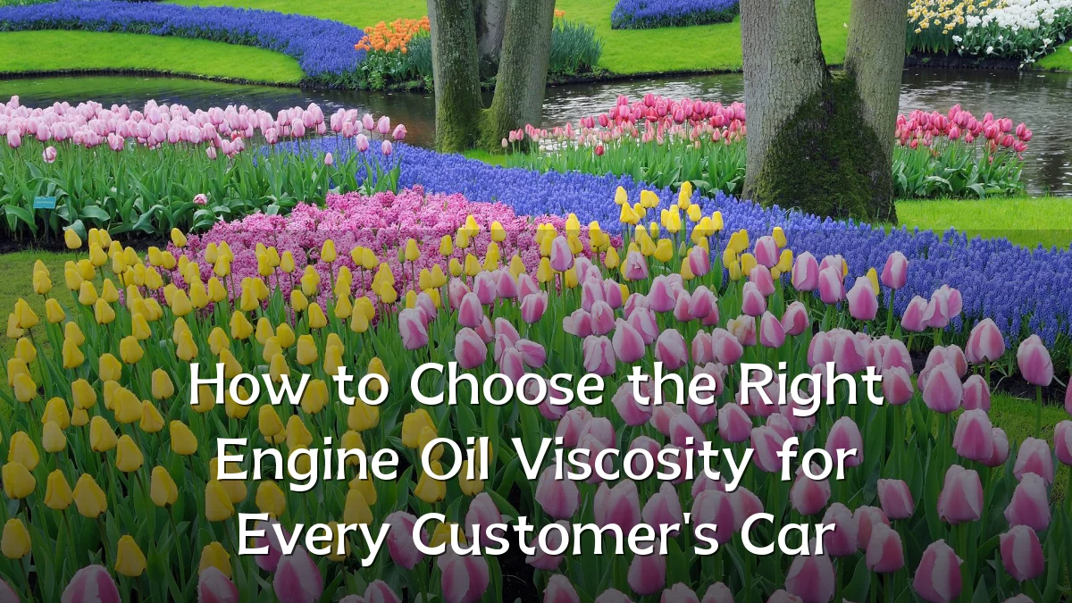 How to Choose the Right Engine Oil Viscosity for Every Customer's Car