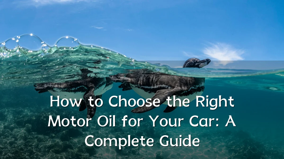 How to Choose the Right Motor Oil for Your Car: A Complete Guide