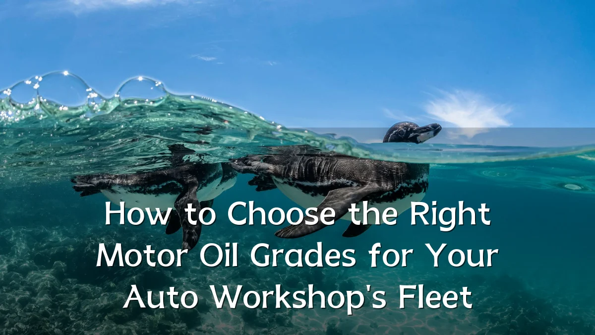How to Choose the Right Motor Oil Grades for Your Auto Workshop's Fleet