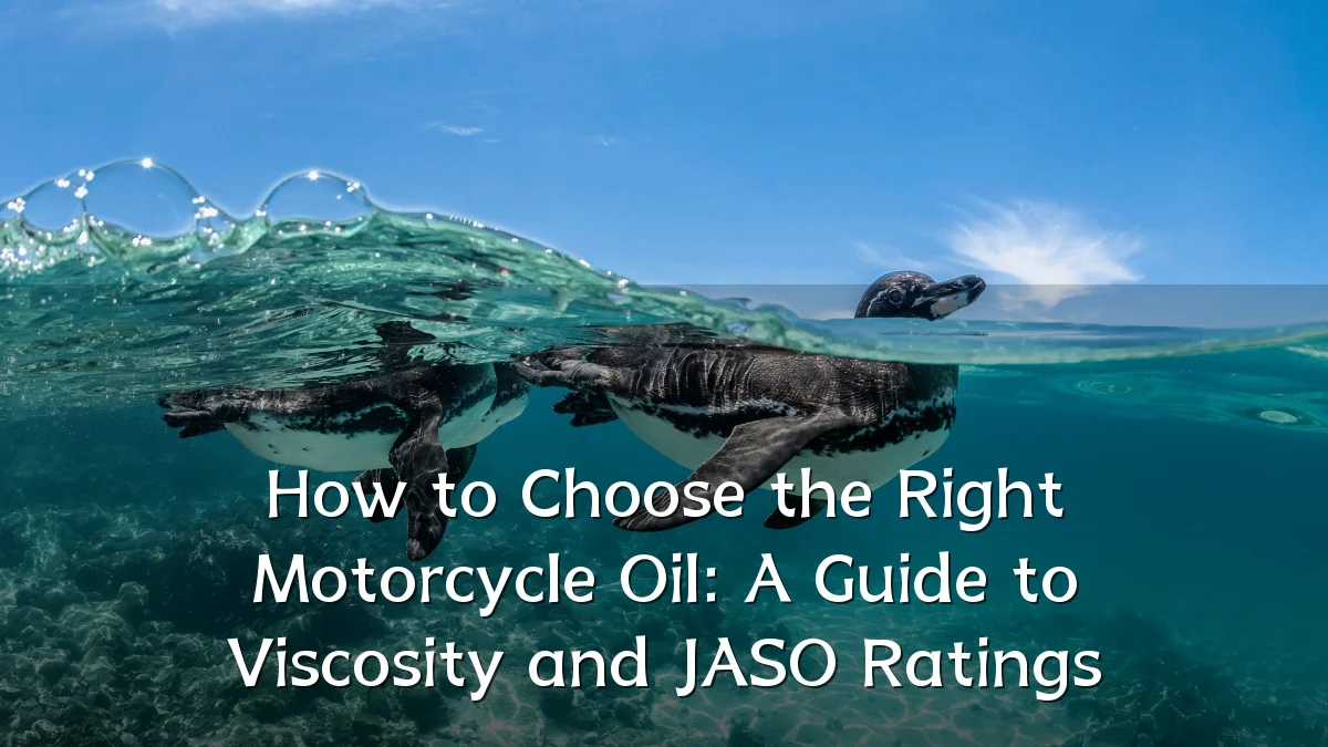 How to Choose the Right Motorcycle Oil: A Guide to Viscosity and JASO Ratings