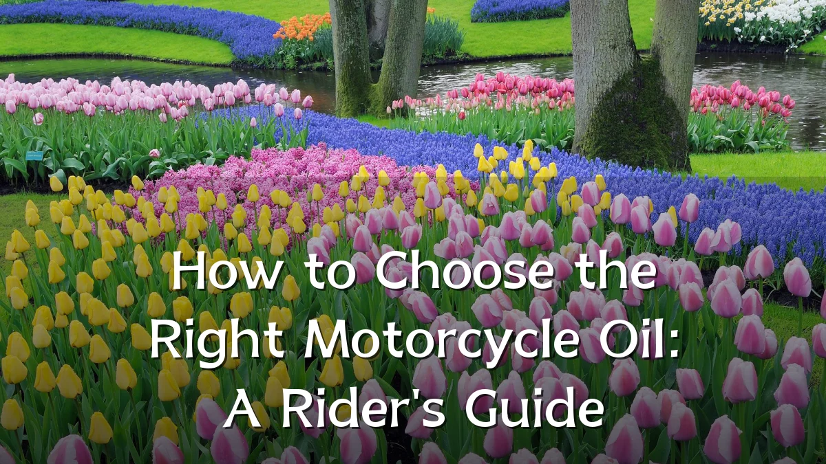 How to Choose the Right Motorcycle Oil: A Rider's Guide