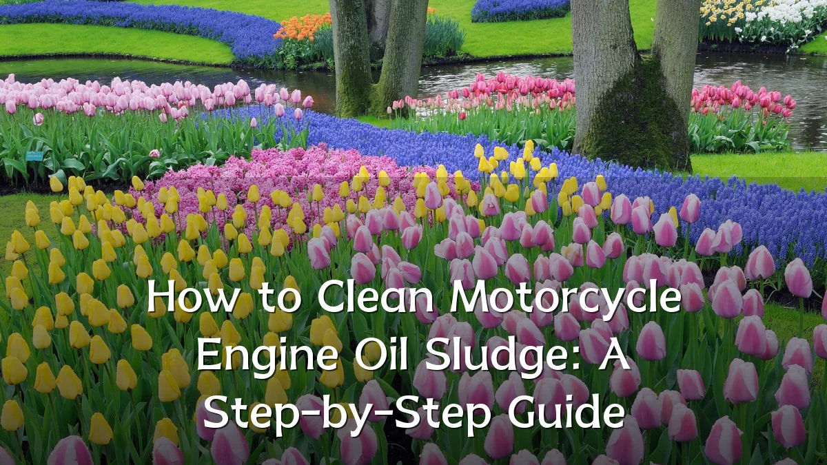 How to Clean Motorcycle Engine Oil Sludge: A Step-by-Step Guide