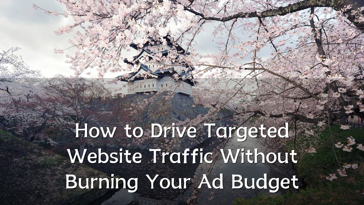 How to Drive Targeted Website Traffic Without Burning Your Ad Budget
