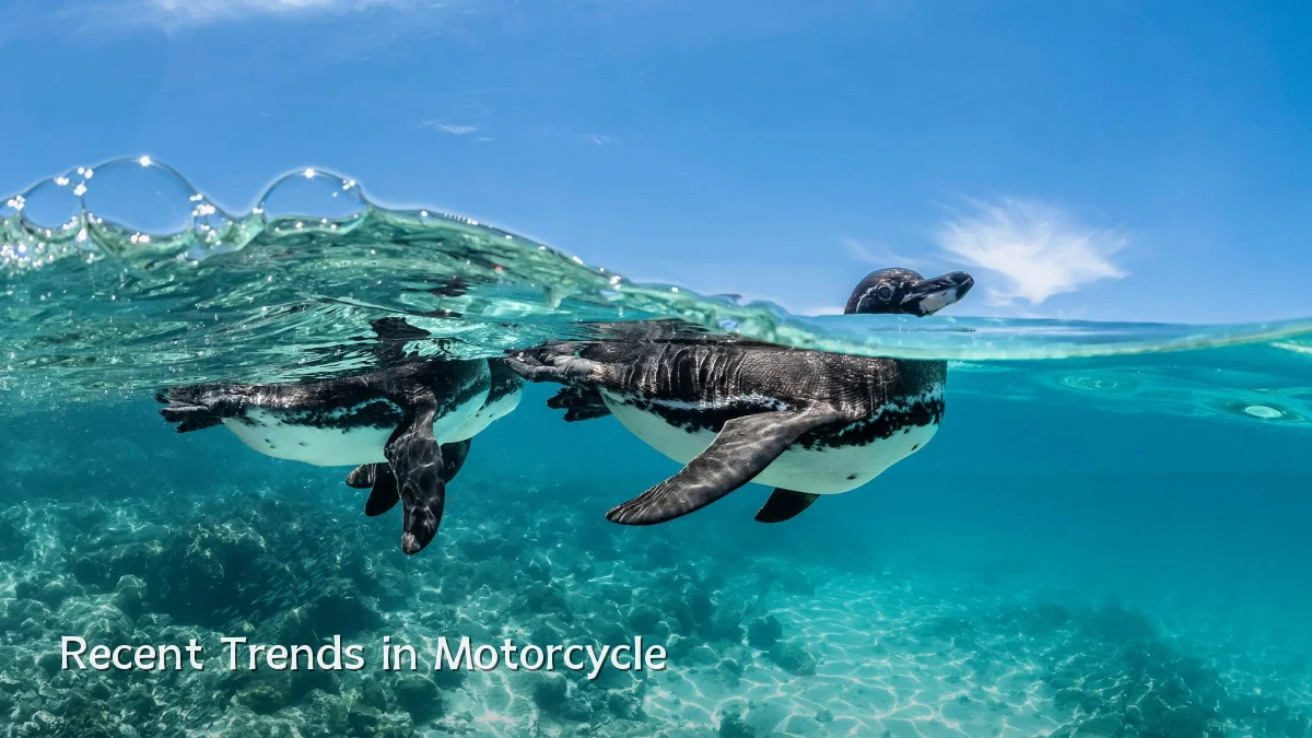 Recent Trends in Motorcycle