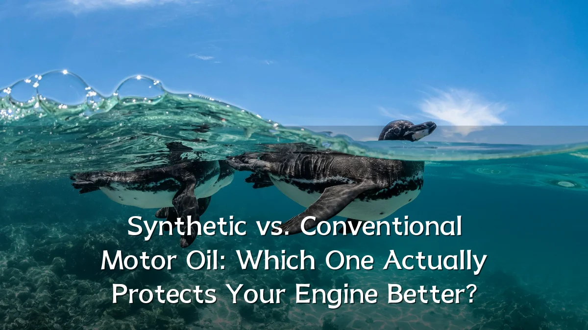 Synthetic vs. Conventional Motor Oil: Which One Actually Protects Your Engine Better?