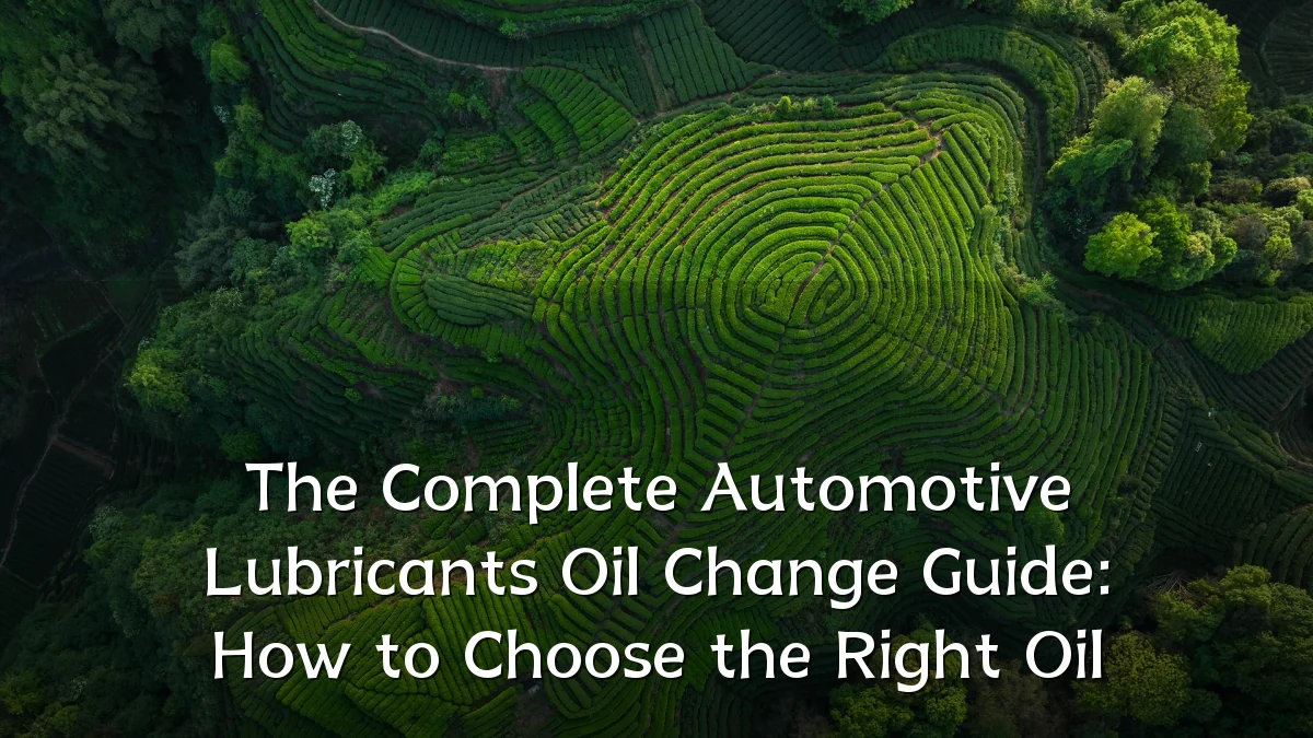 The Complete Automotive Lubricants Oil Change Guide: How to Choose the Right Oil