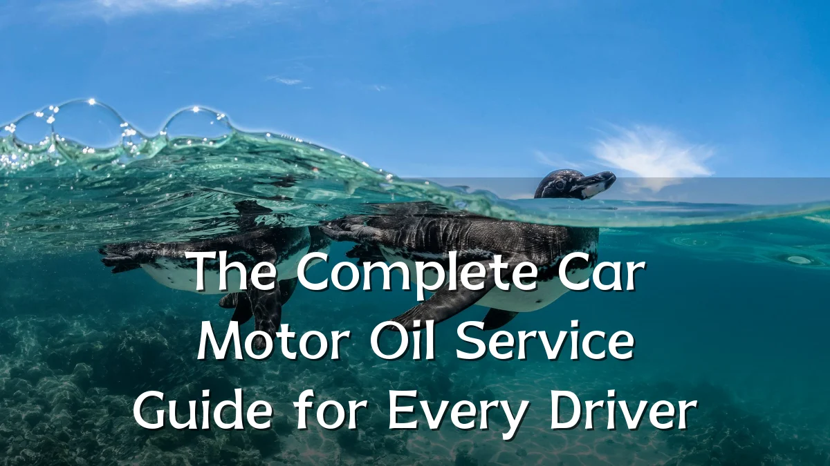The Complete Car Motor Oil Service Guide for Every Driver