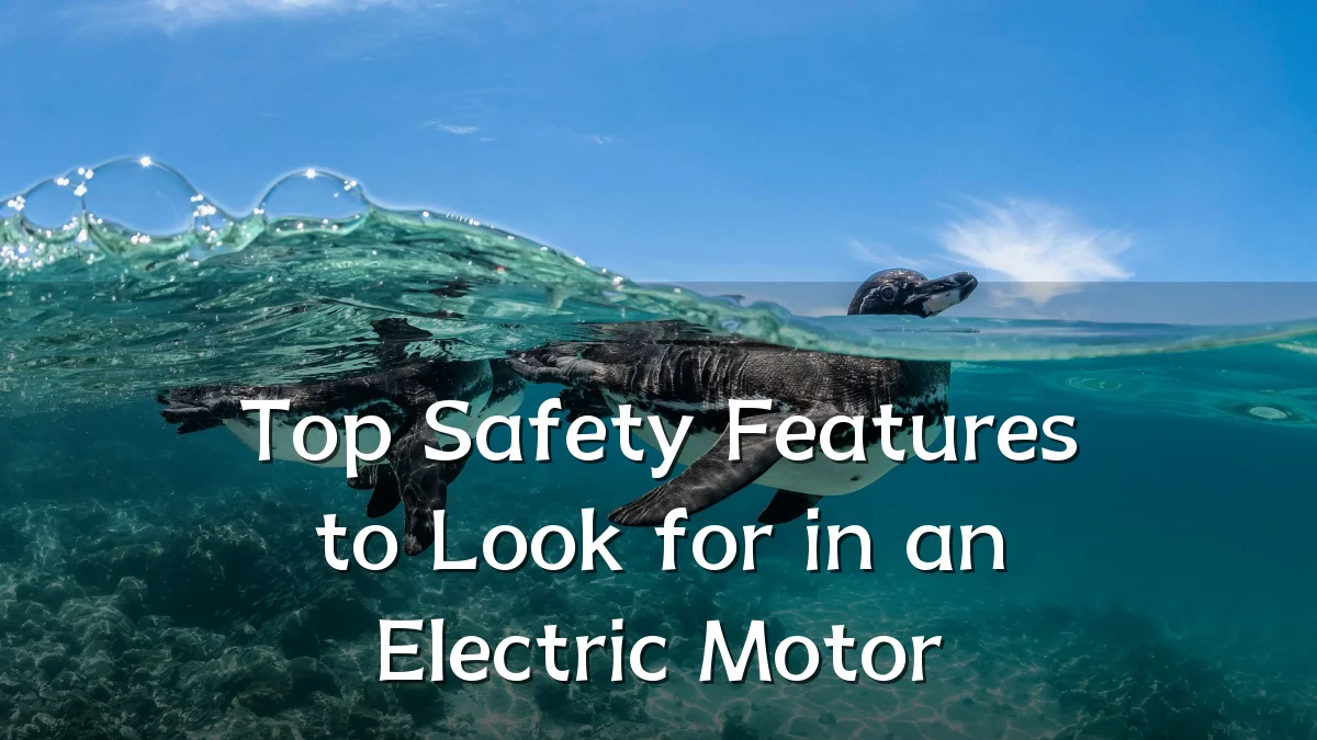 Top Safety Features to Look for in an Electric Motor