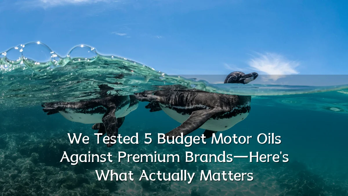 We Tested 5 Budget Motor Oils Against Premium Brands—Here's What Actually Matters